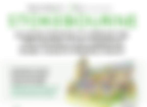 Dissenters N16 Community Arts | Charici