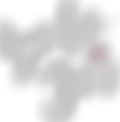 Yolo Jo's Charity | Charici