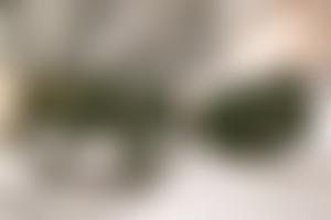 The Royal Logistic Corps Museum Trust Cio | Charici