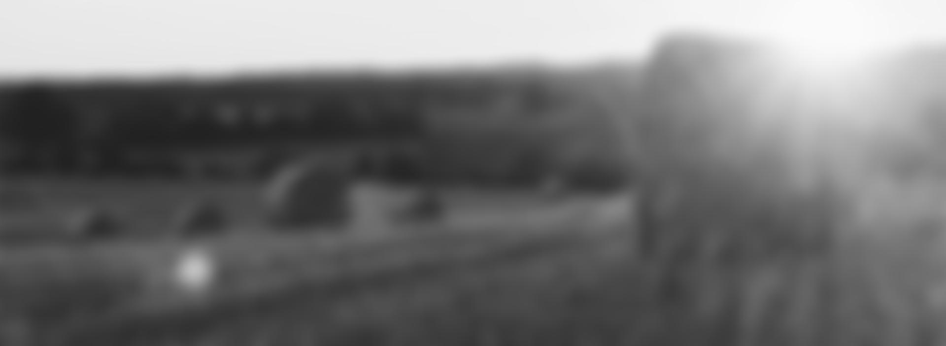 The Dpj Foundation | Charici