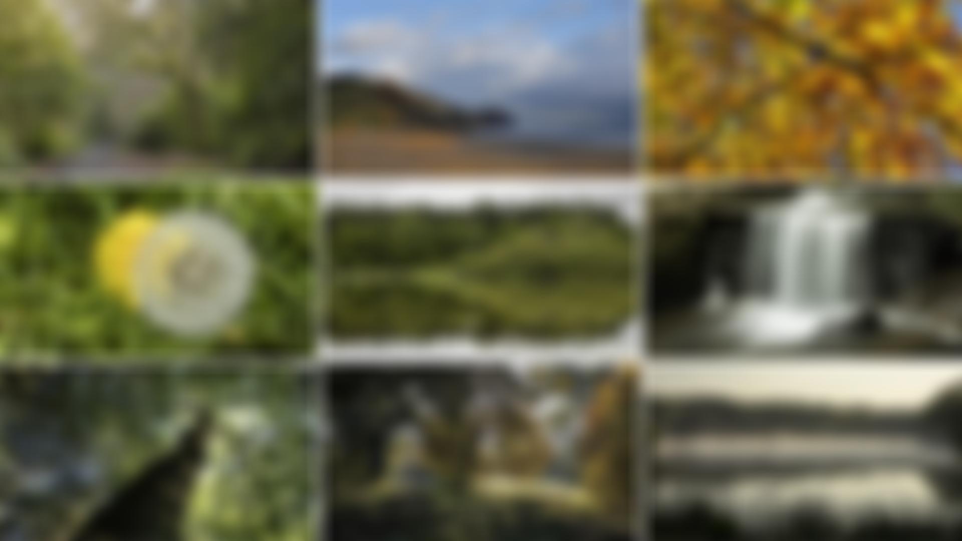 Reflecting Nature In Art & Science | Charici