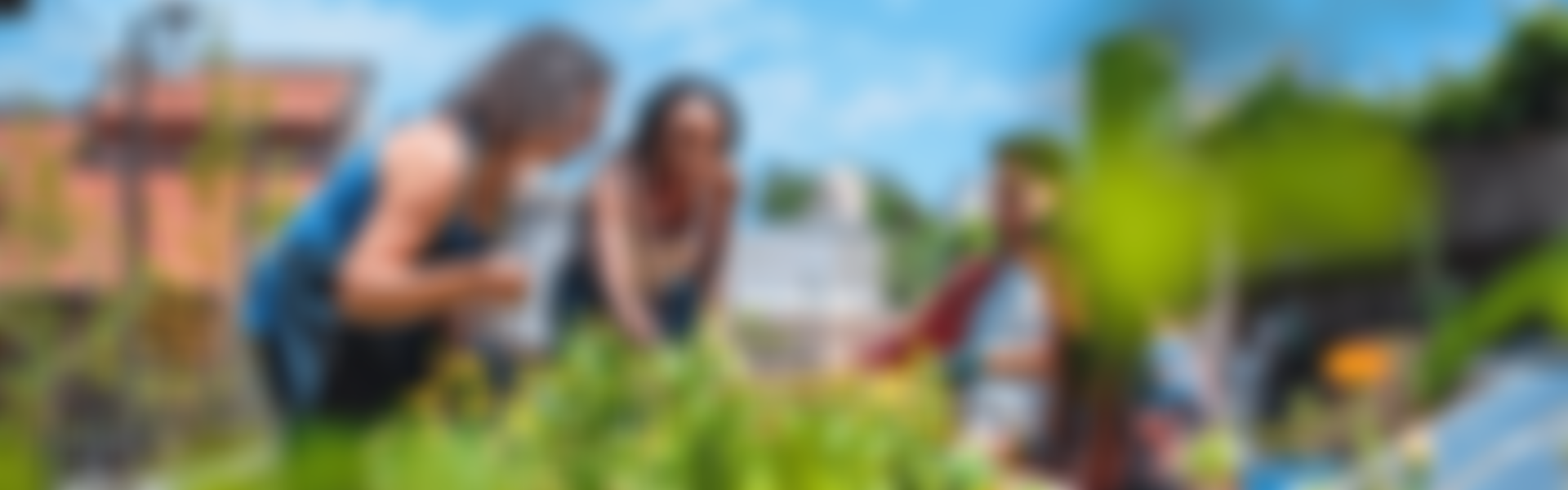 Neighbourhood Watch Network | Charici