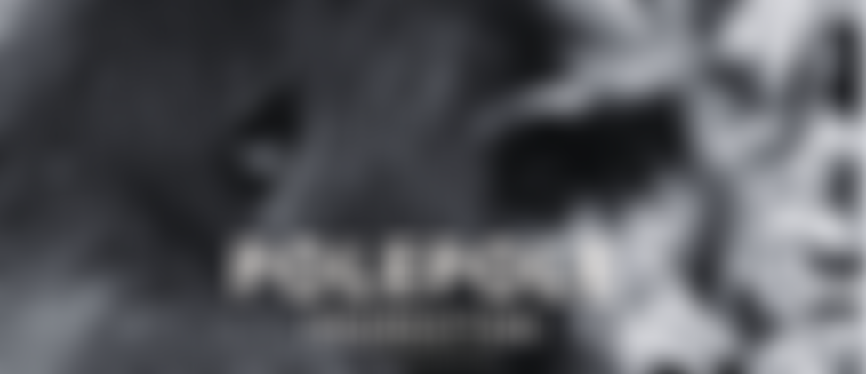 The Pole Pole Foundation UK | Charici