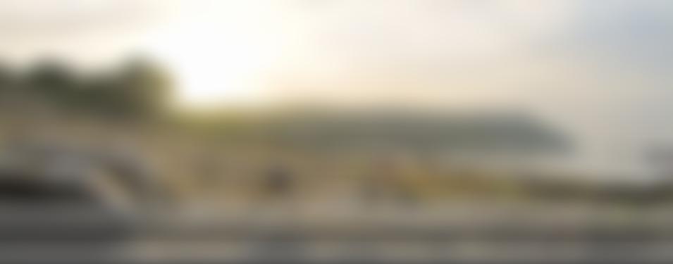 The Ringstead Protection Society | Charici