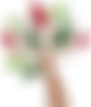 The Parochial Church Council Of The Ecclesiastical Parish Of Bramley St Francis | Charici