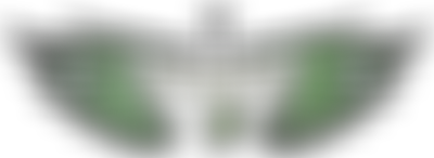 Wings Prayer House | Charici