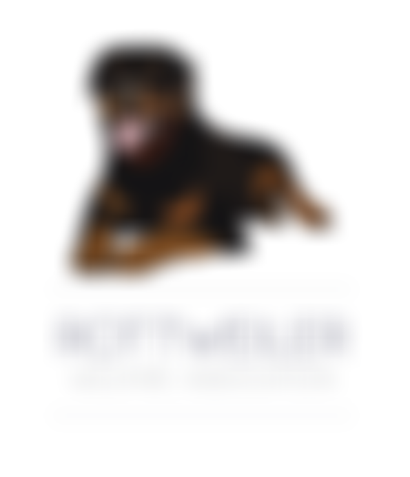 Rottweiler Welfare Association | Charici