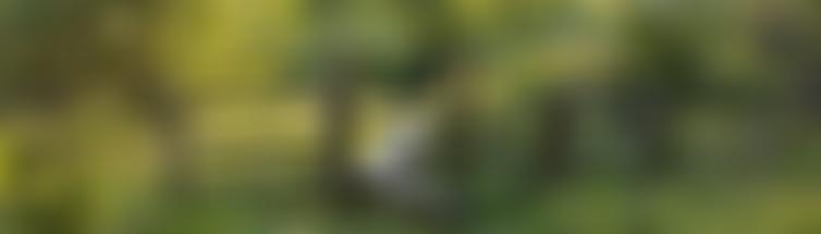 Luton And Leighton Area Quaker Meeting Of The Religious Society Of Friends (Quakers) In Britain | Charici