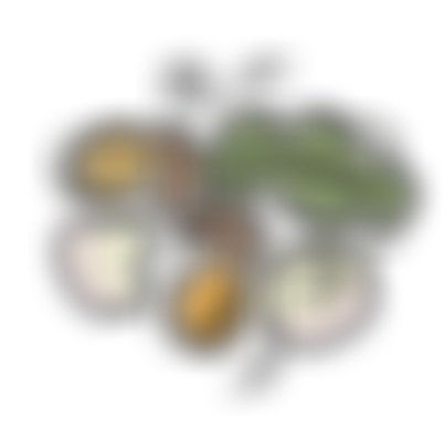 Acorn Pre-School Cio | Charici