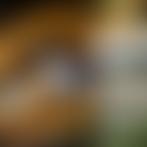 The Parochial Church Council Of The Ecclesiastical Parish Of Holy Cross, Woodchurch | Charici