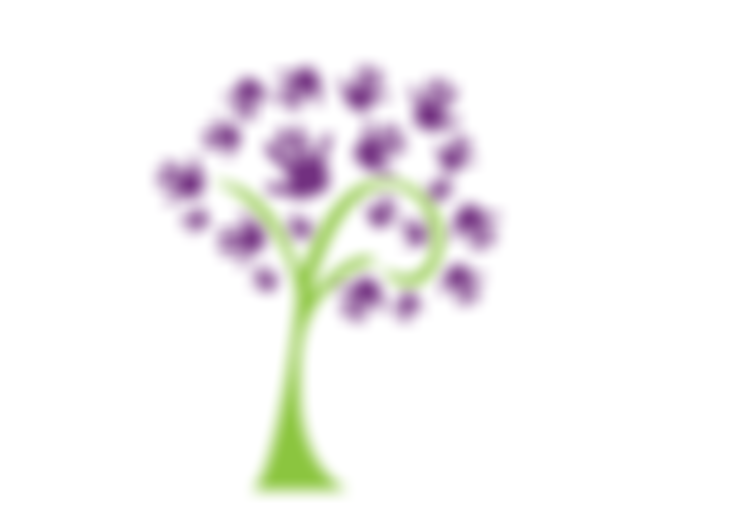 The Maple Tree | Charici
