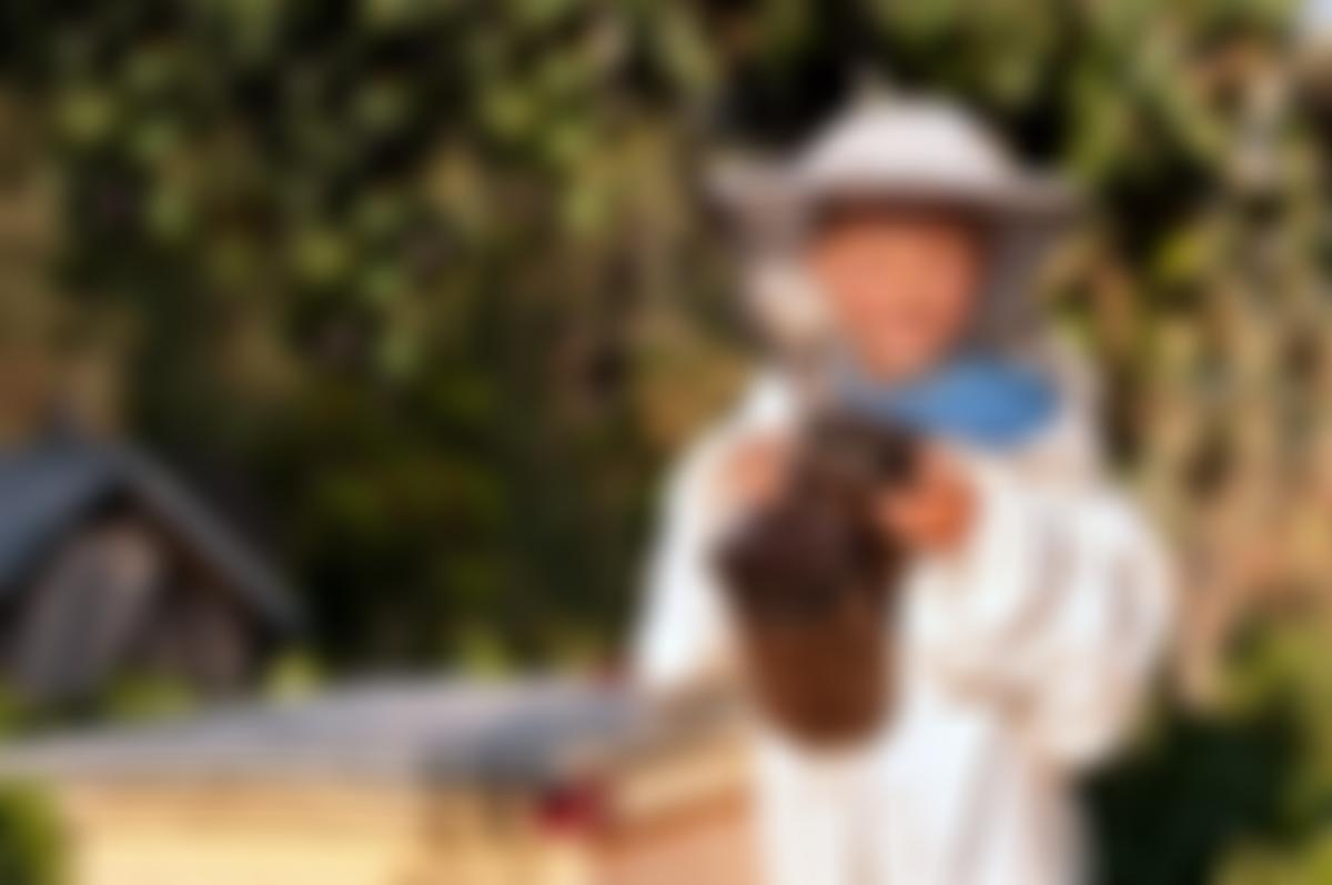 The British Bee Charity | Charici