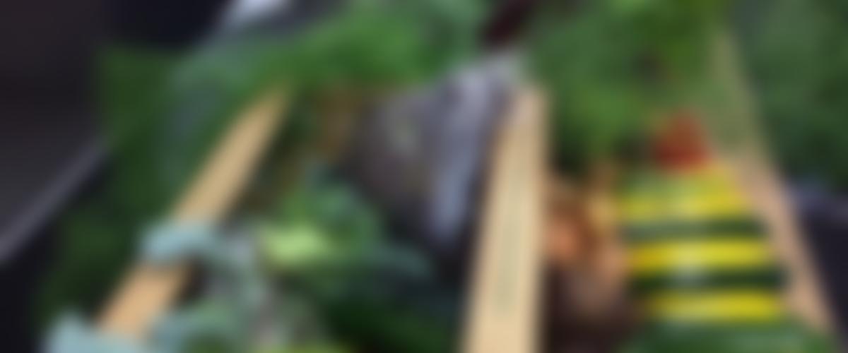 Exeter Food Action | Charici