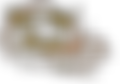 Worlewind Band | Charici