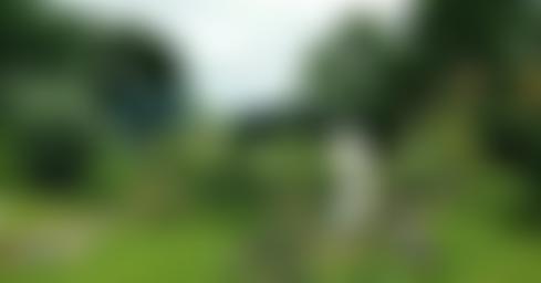 Stephen Cox Garden Trust | Charici