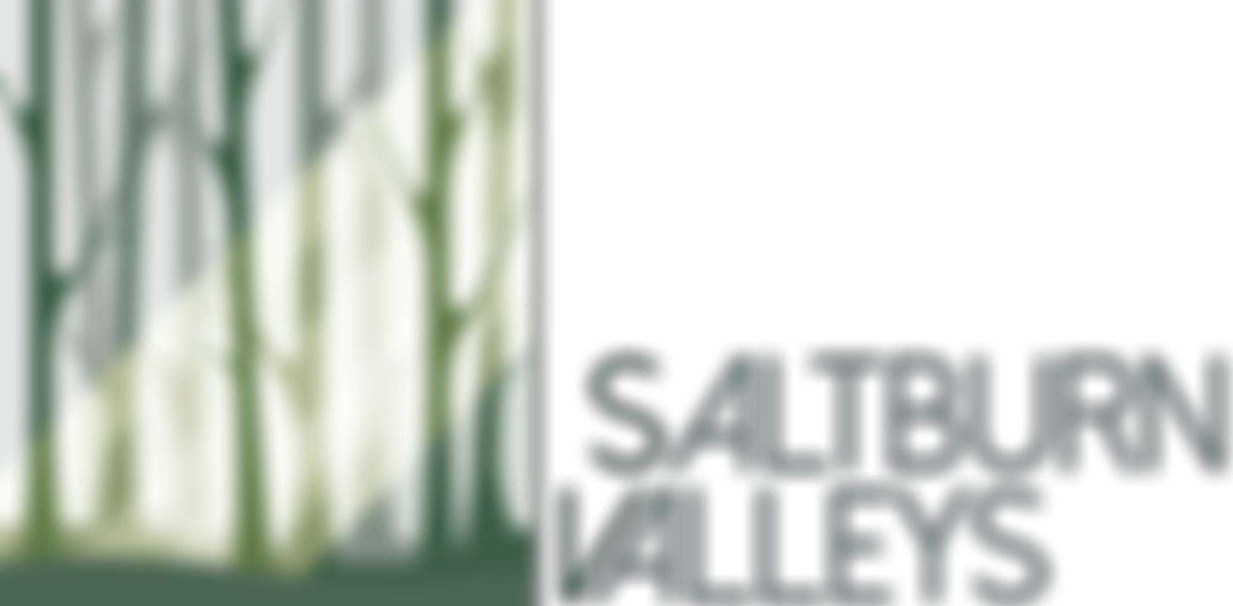 Saltburn Valleys Cio | Charici