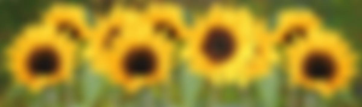 Tell It Parents Network | Charici