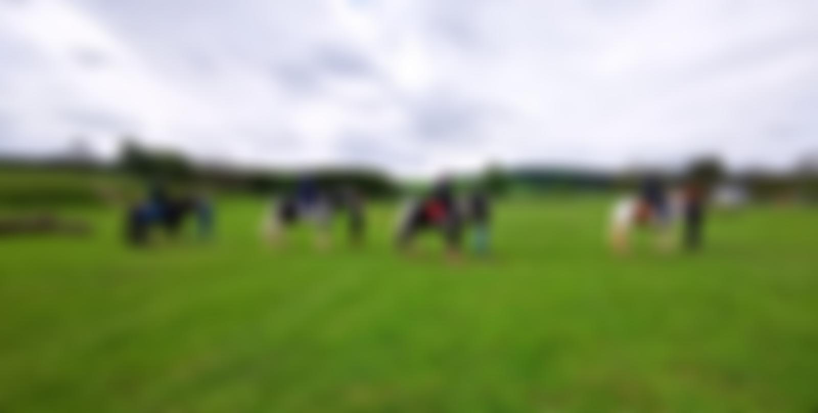 Eden Riding For The Disabled Association Incorporating Carriage Driving | Charici