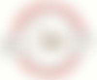 The Parsons Down Schools Association | Charici