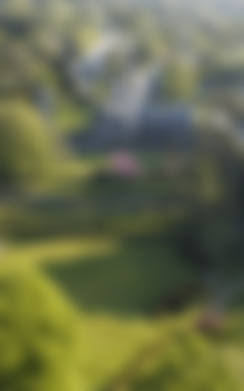 The Dartington Hall Trust | Charici