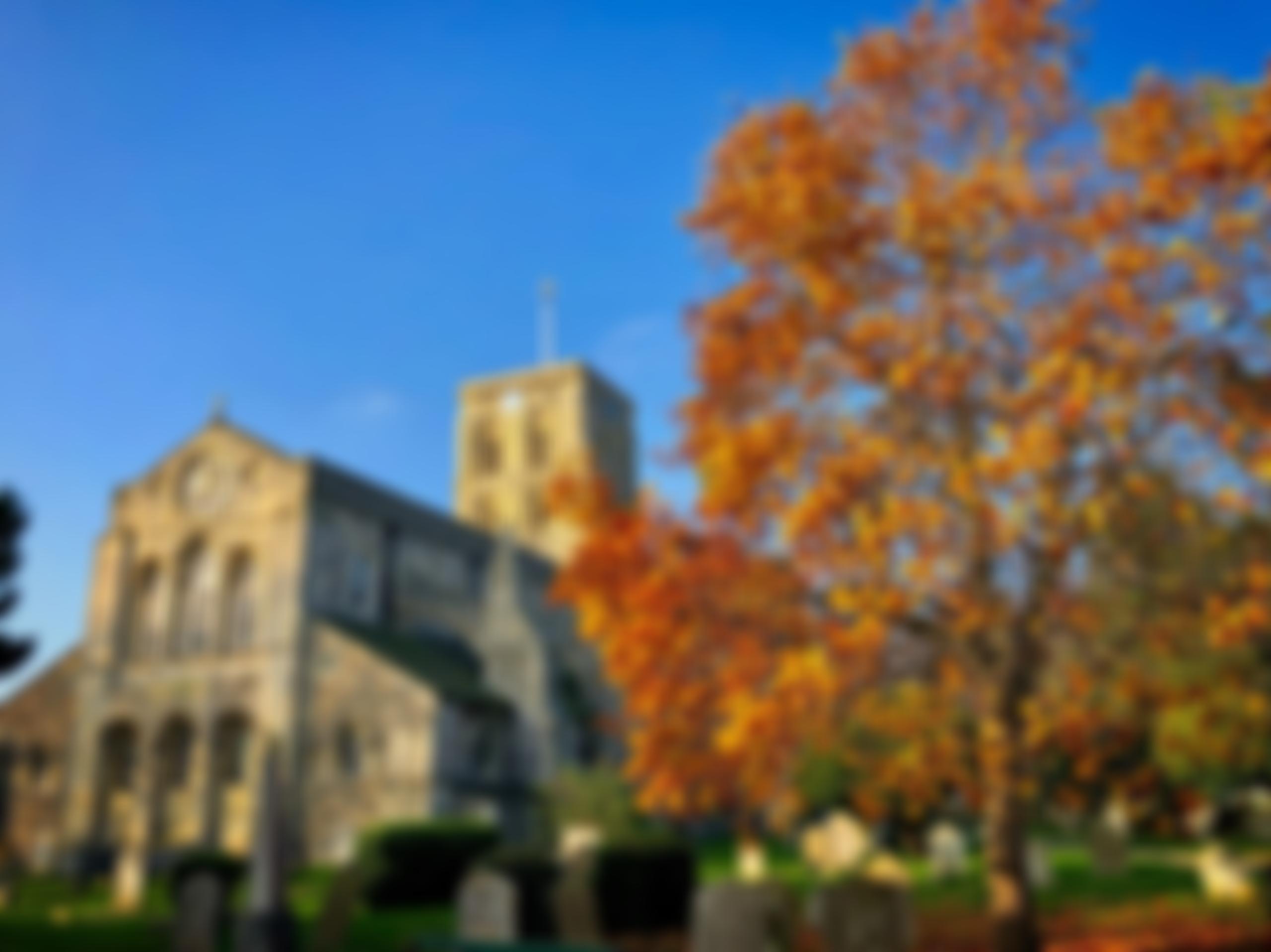 The Parochial Church Council Of The Ecclesiastical Parish Of St Mary De Haura, New Shoreham | Charici