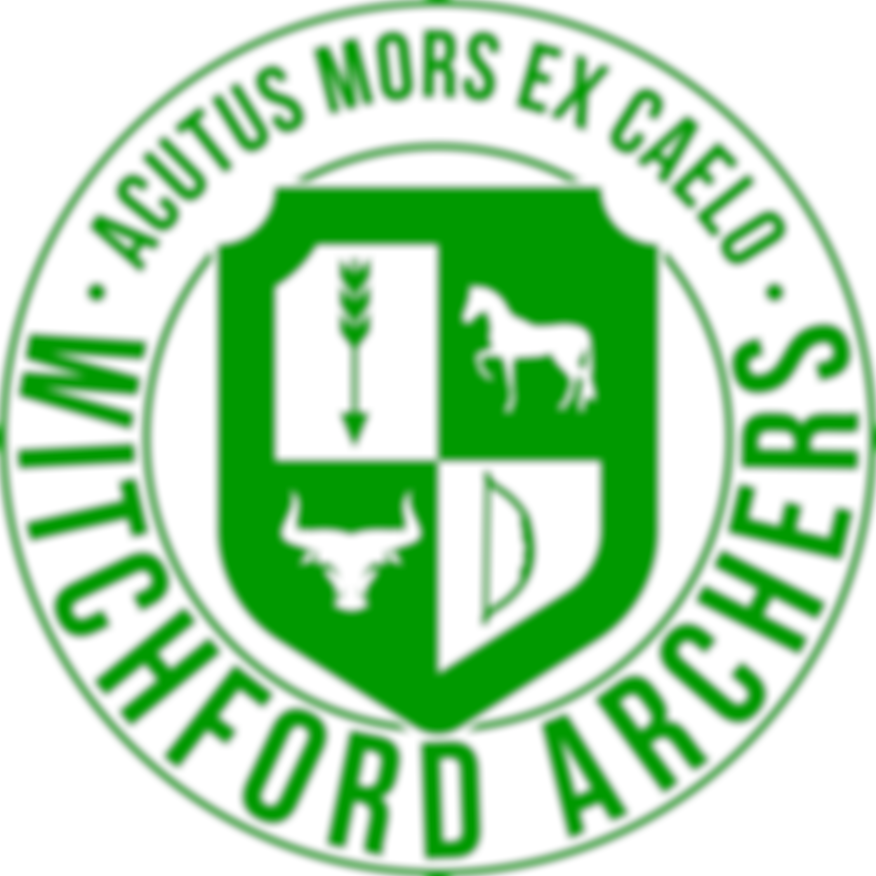 Witchford Archers | Charici