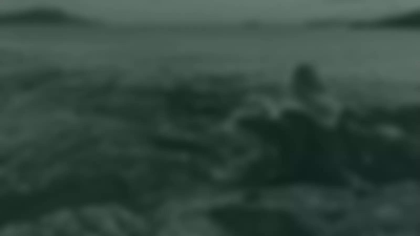 Ardonagh Community Trust | Charici