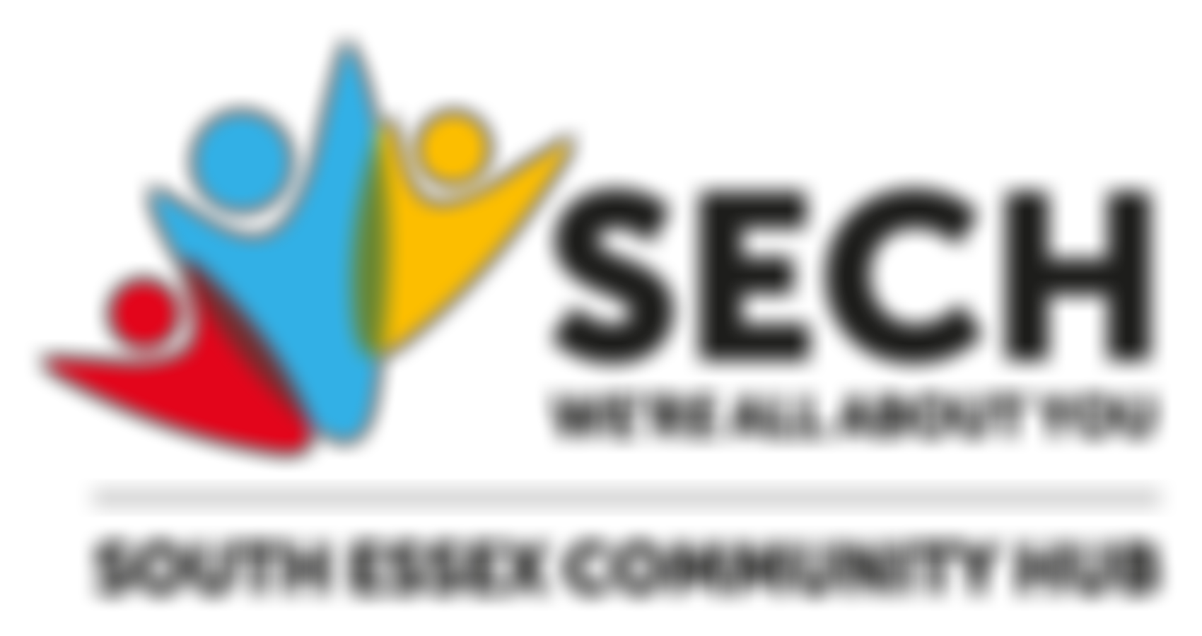 South Essex Community Hub | Charici