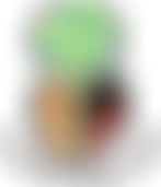 The Mustard Seed Project (Uganda) | Charici