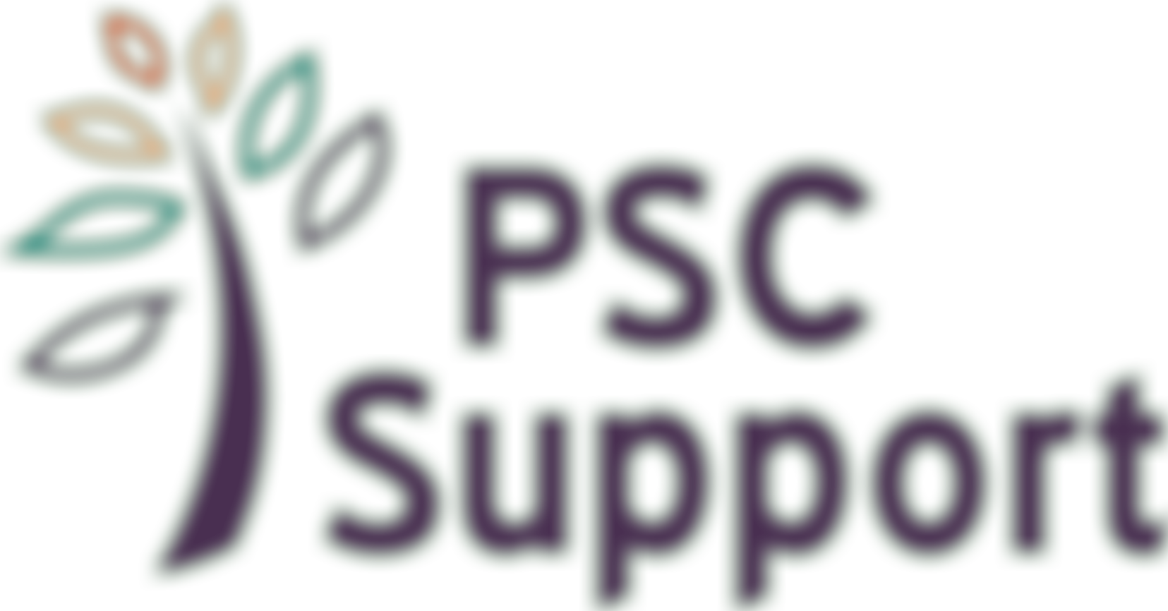 Psc Support | Charici