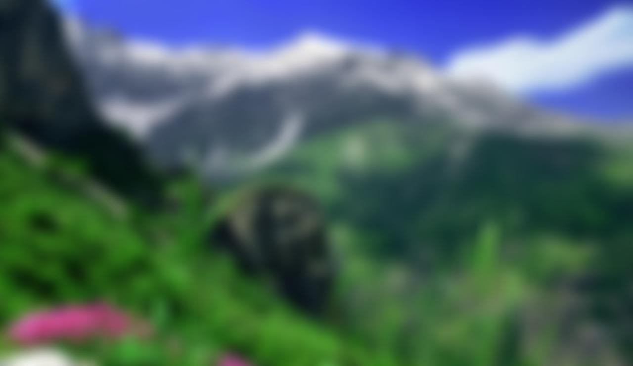 UK Kurdish Association | Charici