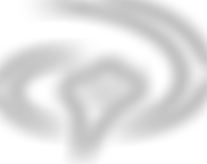 Youth With A Mission Derby | Charici