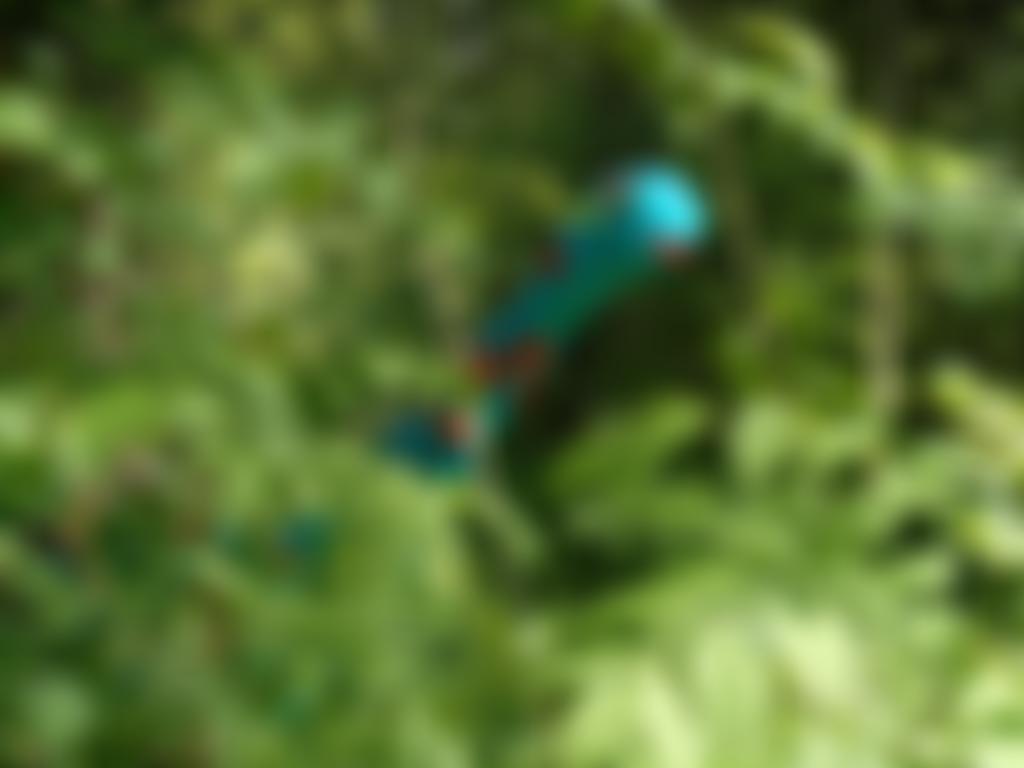 Kirkby Stephen Community Arts | Charici