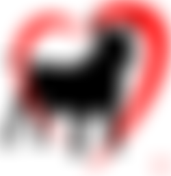 Adopt A Bull Terrier Rescue | Charici
