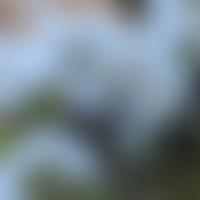 The Areti Charitable Trust | Charici