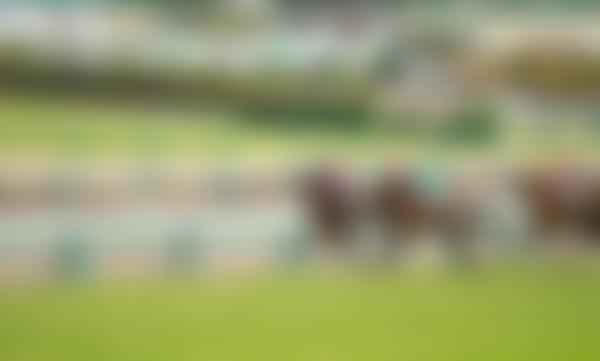 White Lodge Association Limited | Charici