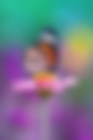 No Panic Sutton And Merton | Charici