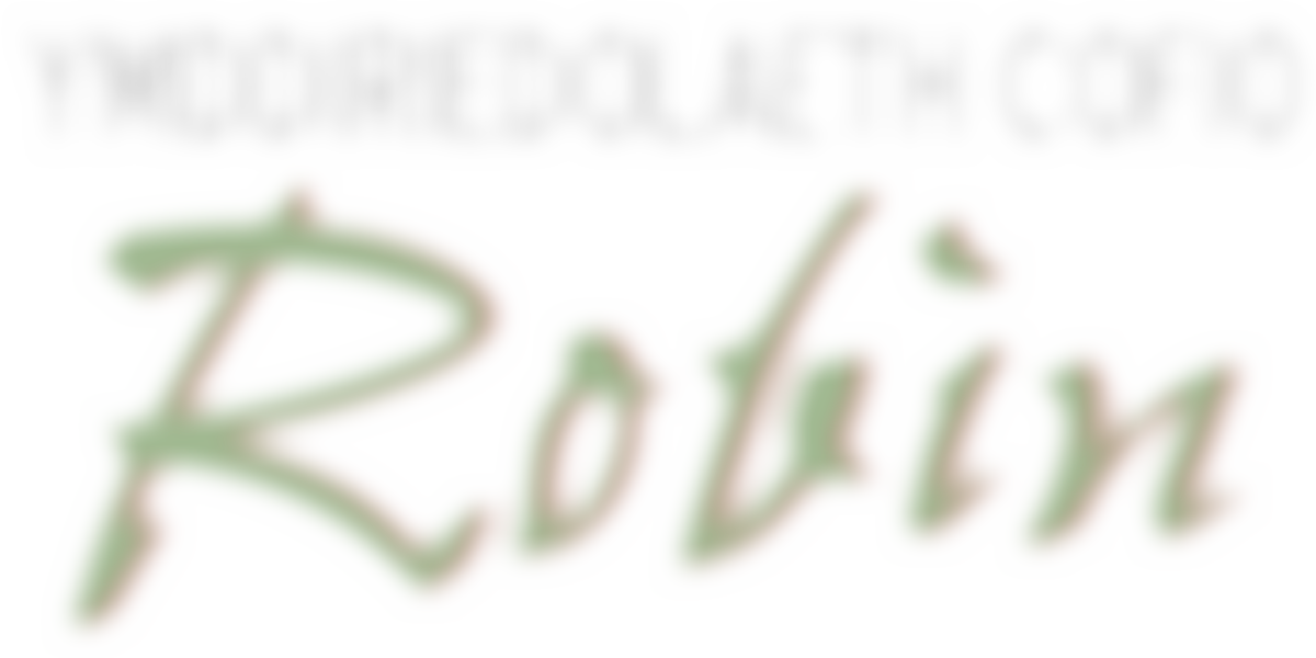 Ymddiriedolaeth Cofio Robin Llyr Evans - Robin Llyr Evans Memorial Trust | Charici