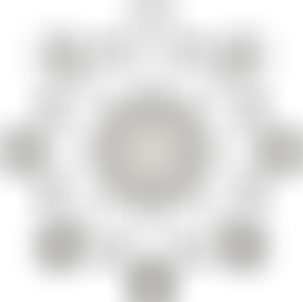 Galileo Foundation | Charici