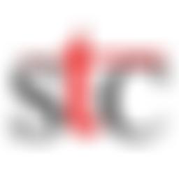 The Parochial Church Council Of The Ecclesiastical Parish Of Stafford Saint Mary | Charici