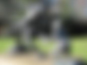 The Arts Society Dulwich | Charici