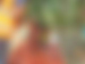 Ummah Appeal | Charici