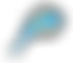 Lune Valley Community Society Ltd | Charici