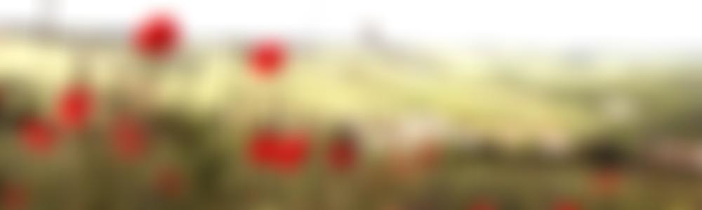 The Parochial Church Council Of The Ecclesiastical Parish Of Whitton | Charici