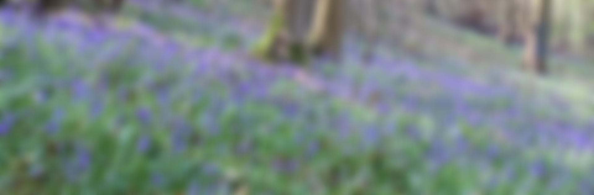 Cam, Dursley & District U3A | Charici