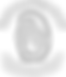 Suffolk Prickles Hedgehog Rescue | Charici