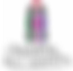 The Parochial Church Council Of The Ecclesiastical Parish Of Saint Mary And All Saints Whalley | Charici