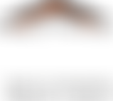 We Build The Future | Charici