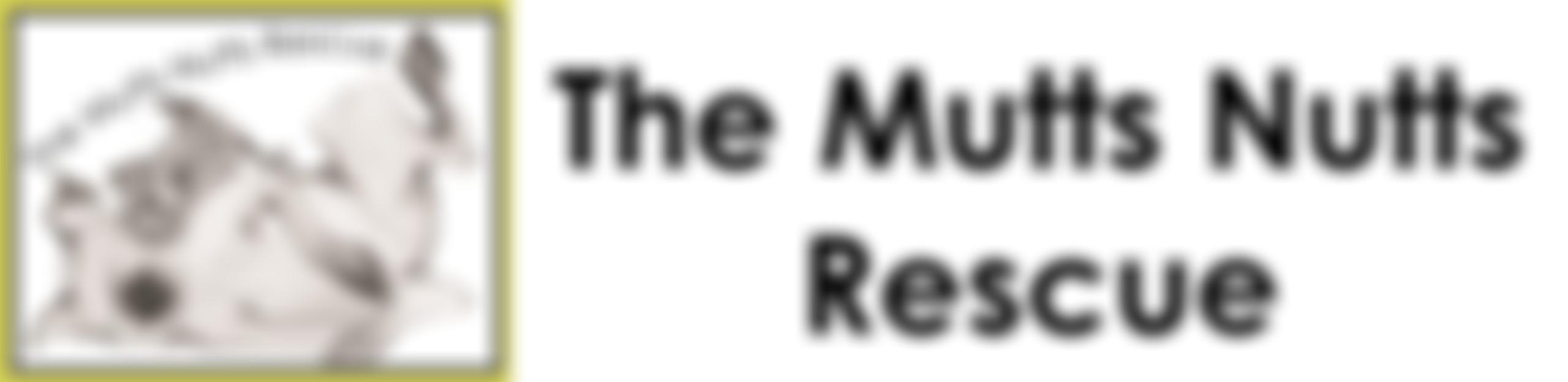 The Mutts Nutts Rescue | Charici