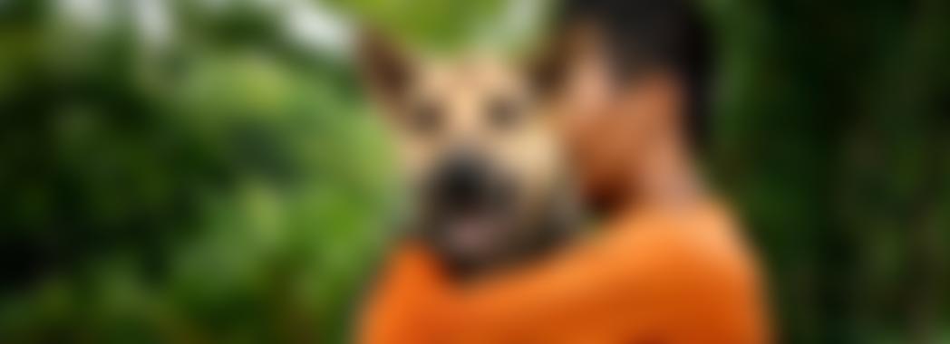 Soi Dog UK Cio | Charici